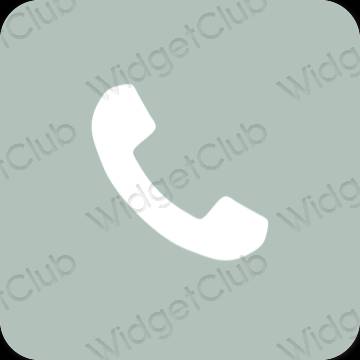 Estetický zelená Phone ikony aplikací