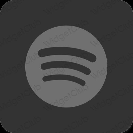 Esthetische Spotify app-pictogrammen