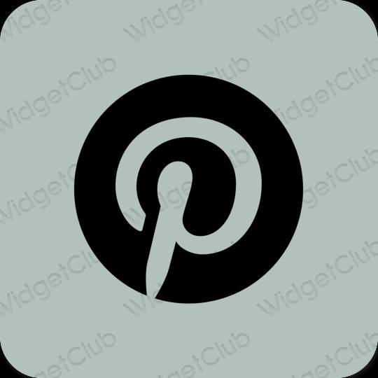Estetic verde Pinterest pictogramele aplicației