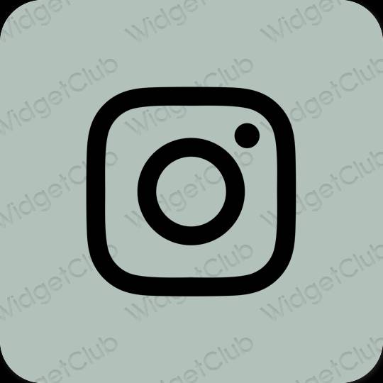 Esteettinen vihreä Instagram sovelluskuvakkeet