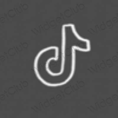 Stijlvol grijs TikTok app-pictogrammen
