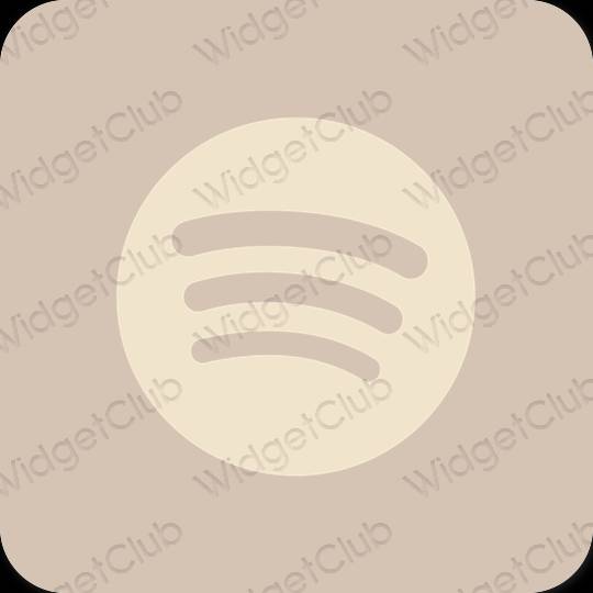 Icônes d'application Spotify esthétiques