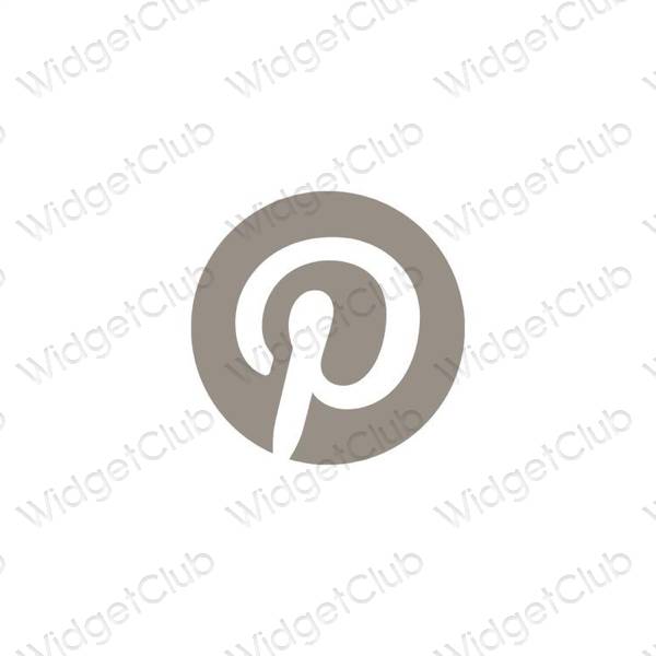 Гоо зүйн Pinterest програмын дүрс тэмдэг