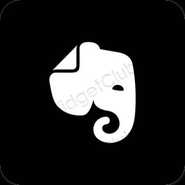 Stijlvol zwart Evernote app-pictogrammen