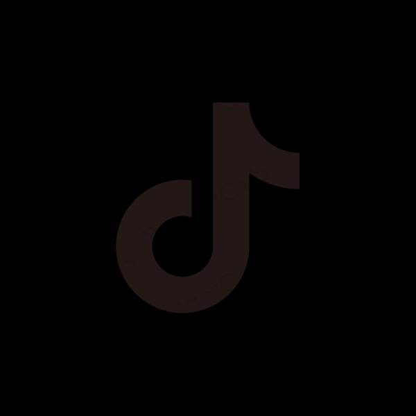 Aesthetic TikTok app icons
