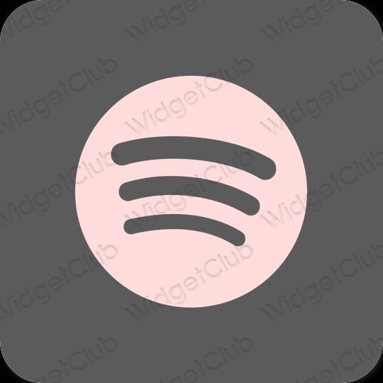 Ästhetisch grau Spotify App-Symbole