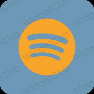 Esthetische Spotify app-pictogrammen