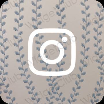 Ästhetische Instagram App-Symbole