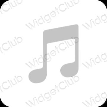 Esthetische Apple Music app-pictogrammen