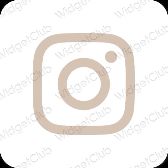 រូបតំណាងកម្មវិធី Instagram សោភ័ណភាព