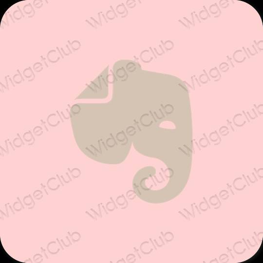Aesthetic pink Evernote app icons