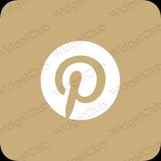 Aesthetic orange Pinterest app icons