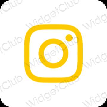 Esthetische Instagram app-pictogrammen