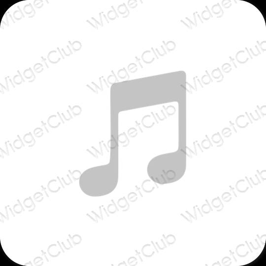 Esthetische Apple Music app-pictogrammen