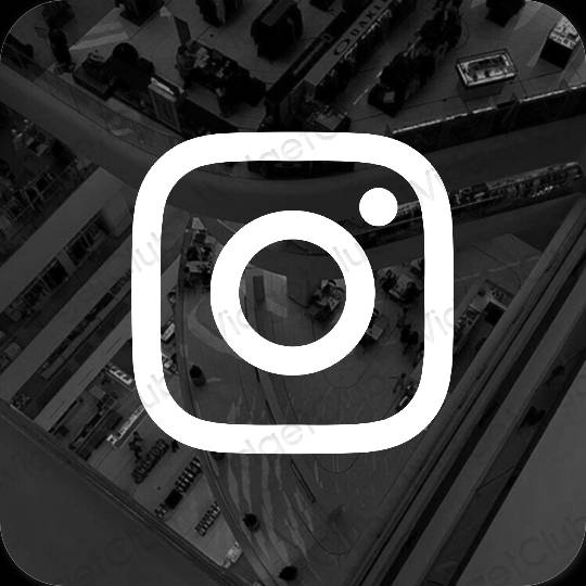 រូបតំណាងកម្មវិធី Instagram សោភ័ណភាព