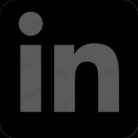 Estética Linkedin ícones de aplicativos