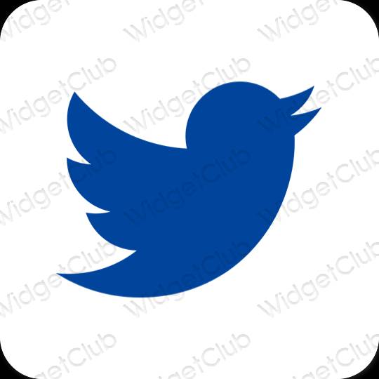 Estetico blu Twitter icone dell'app