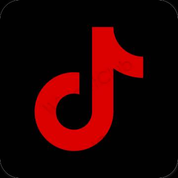 រូបតំណាងកម្មវិធី TikTok សោភ័ណភាព