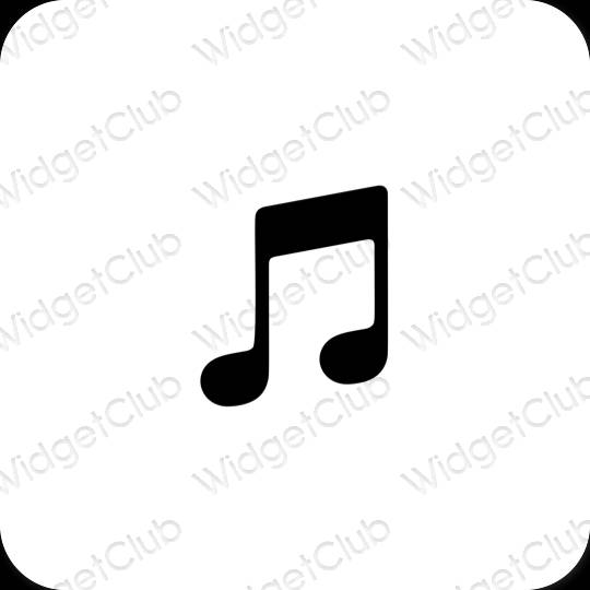 Esthetische Apple Music app-pictogrammen