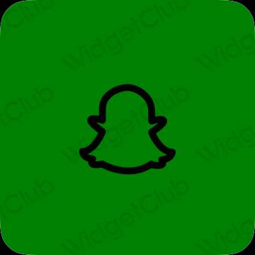 เกี่ยวกับความงาม เขียว snapchat ไอคอนแอพ