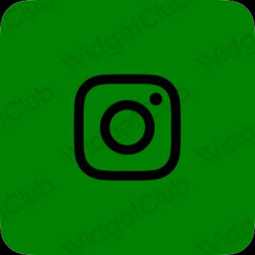 審美的 綠色 Instagram 應用程序圖標