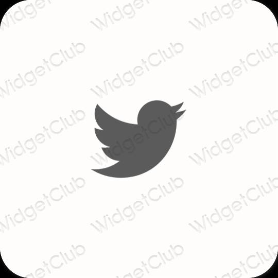 Aesthetic Twitter app icons