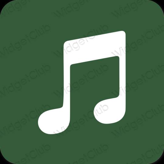 Esthetische Apple Music app-pictogrammen