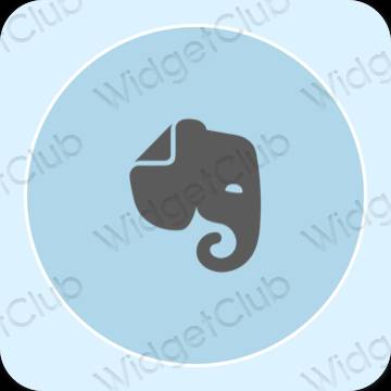 Естетске Evernote иконе апликација