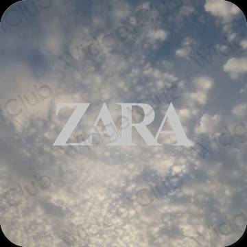 Естетски сива ZARA иконе апликација