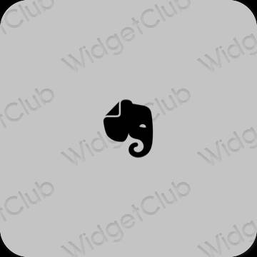 Stijlvol grijs Evernote app-pictogrammen
