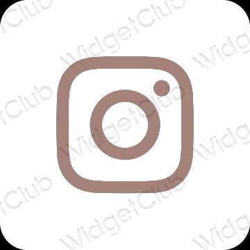រូបតំណាងកម្មវិធី Instagram សោភ័ណភាព