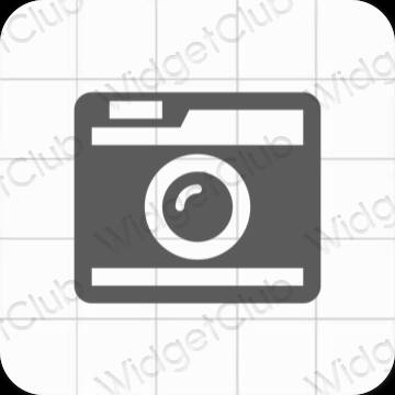 Aesthetic gray Camera app icons