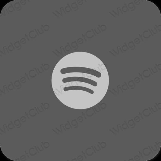 Icônes d'application Spotify esthétiques