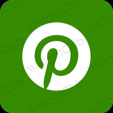Estetsko zelena Pinterest ikone aplikacij
