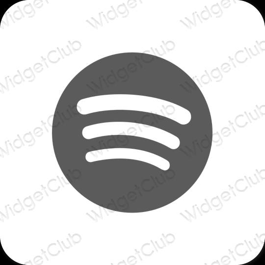 Esthetische Spotify app-pictogrammen