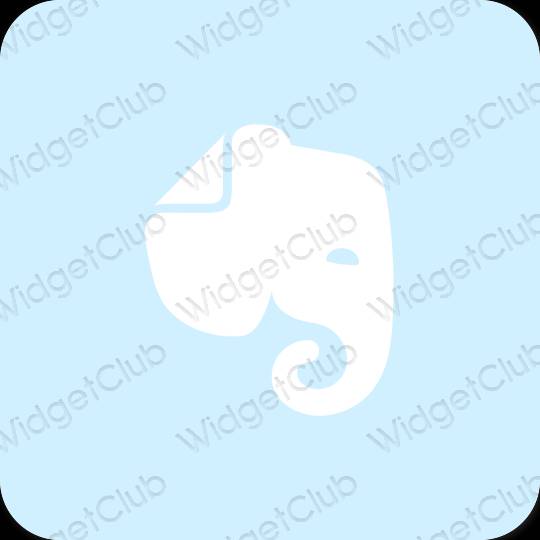 Estetický nachový Evernote ikony aplikací