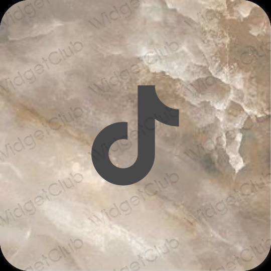 미적인 회색 TikTok 앱 아이콘