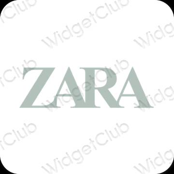 美学ZARA 应用程序图标
