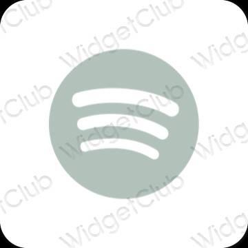 Estética Spotify iconos de aplicaciones