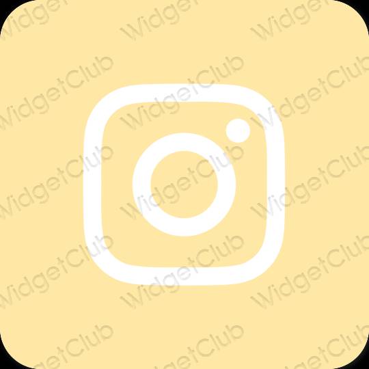 Esteetiline oranž Instagram rakenduste ikoonid