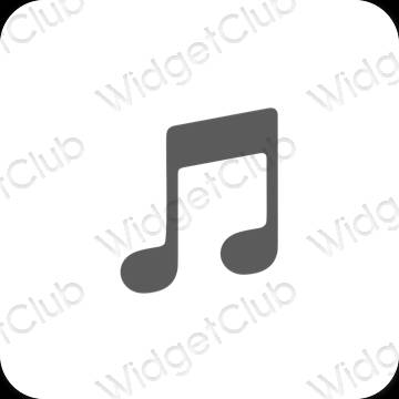 Esthetische Apple Music app-pictogrammen