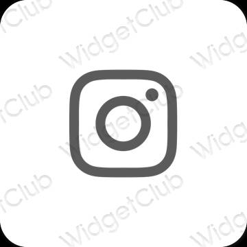 Esthetische Instagram app-pictogrammen