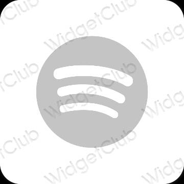 Esthetische Spotify app-pictogrammen