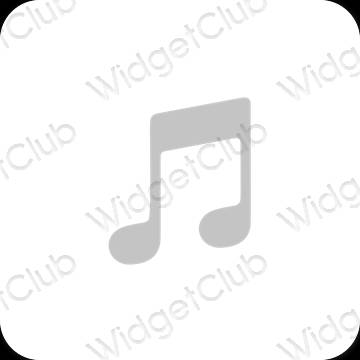 Esthetische Apple Music app-pictogrammen