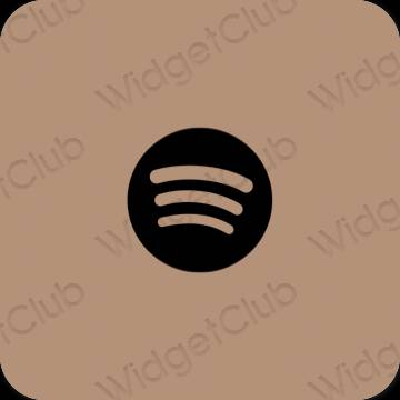 Ästhetische Spotify App-Symbole