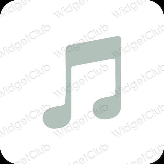 Biểu tượng ứng dụng Apple Music thẩm mỹ