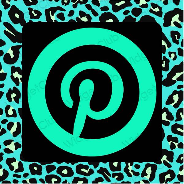 សោភ័ណ ខៀវ Pinterest រូបតំណាងកម្មវិធី