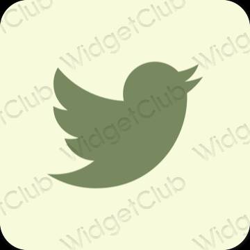 Icônes d'application Twitter esthétiques