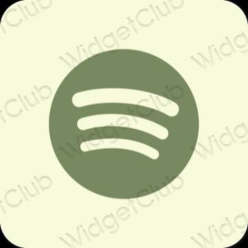 Icônes d'application Spotify esthétiques