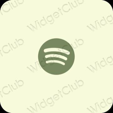 Esthetische Spotify app-pictogrammen